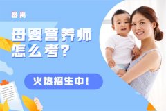 广州番禺母婴营养师资格证怎么考？